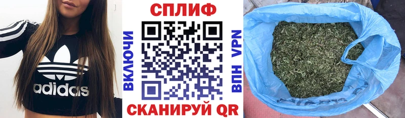 Шишки марихуана MAZAR Полярные Зори