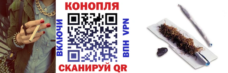 Бошки Шишки план  купить  цена  Полярные Зори 